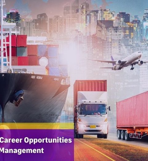 High Paying International Career Opportunities in Logistics & Supply Chain Management